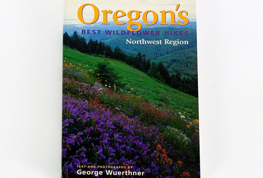 Oregon’s Best Wildflower Hikes